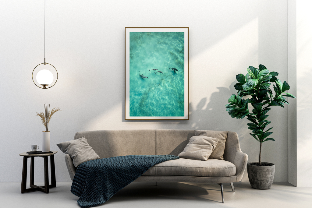 Famille de Dauphin 2